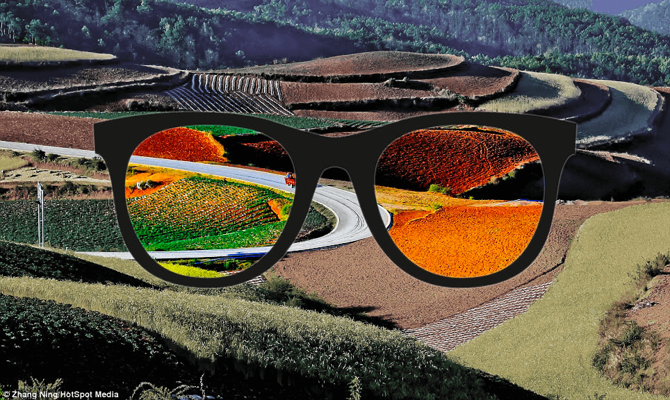 Examples of Color Blindness glasses and how they effect color vision.