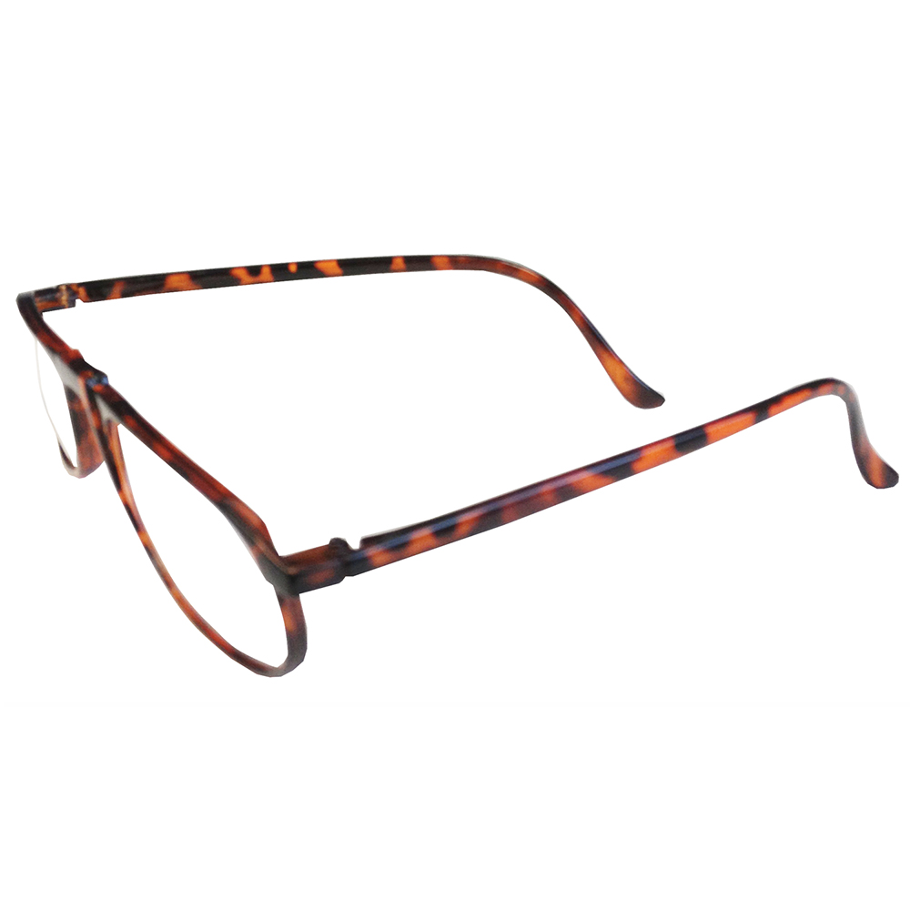 Economy Reading Glasses - Tortoise - 1