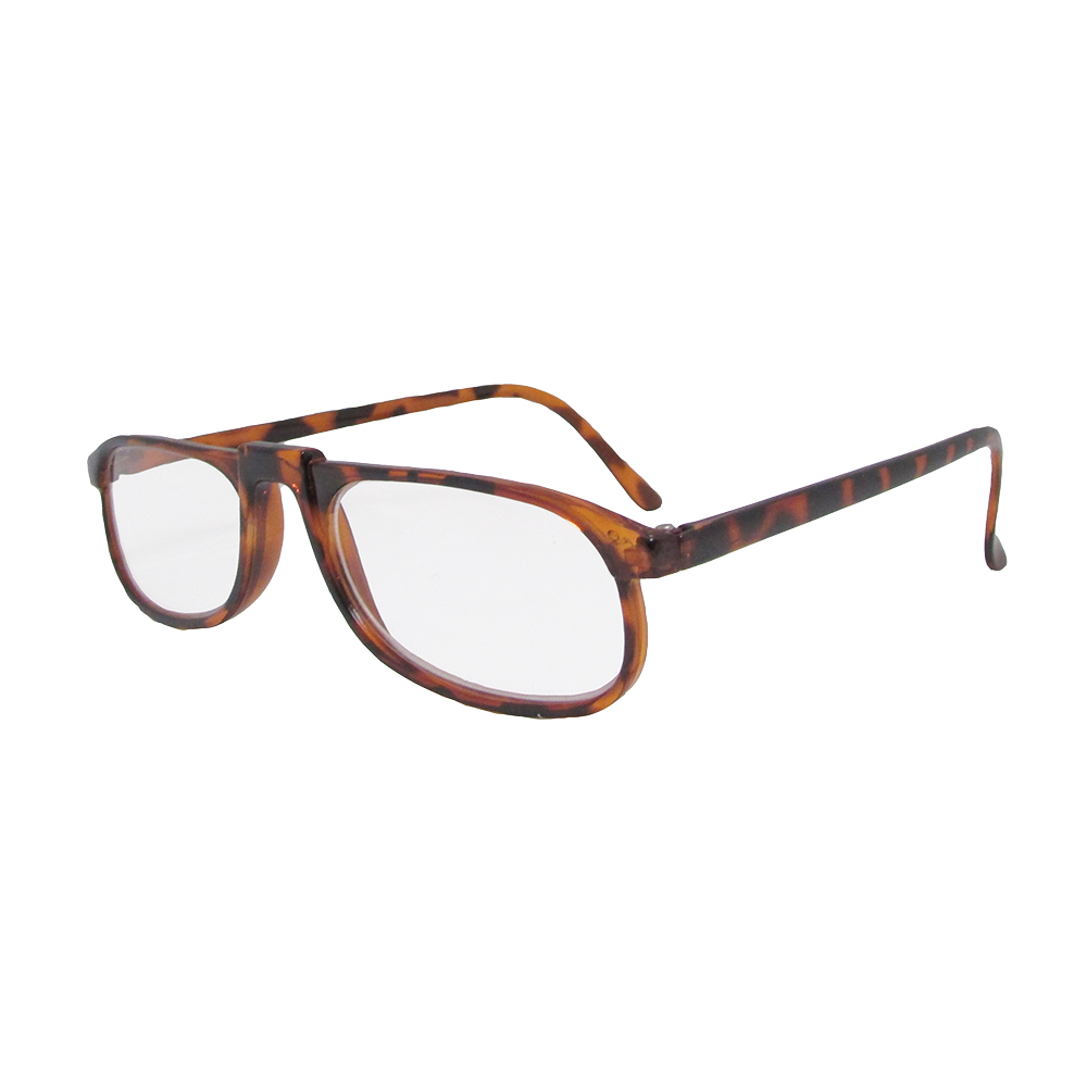 Economy Reading Glasses - Tortoise - 2