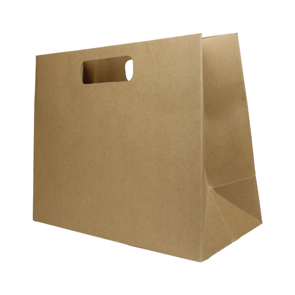 Premium Kraft Bag - Medium - 1