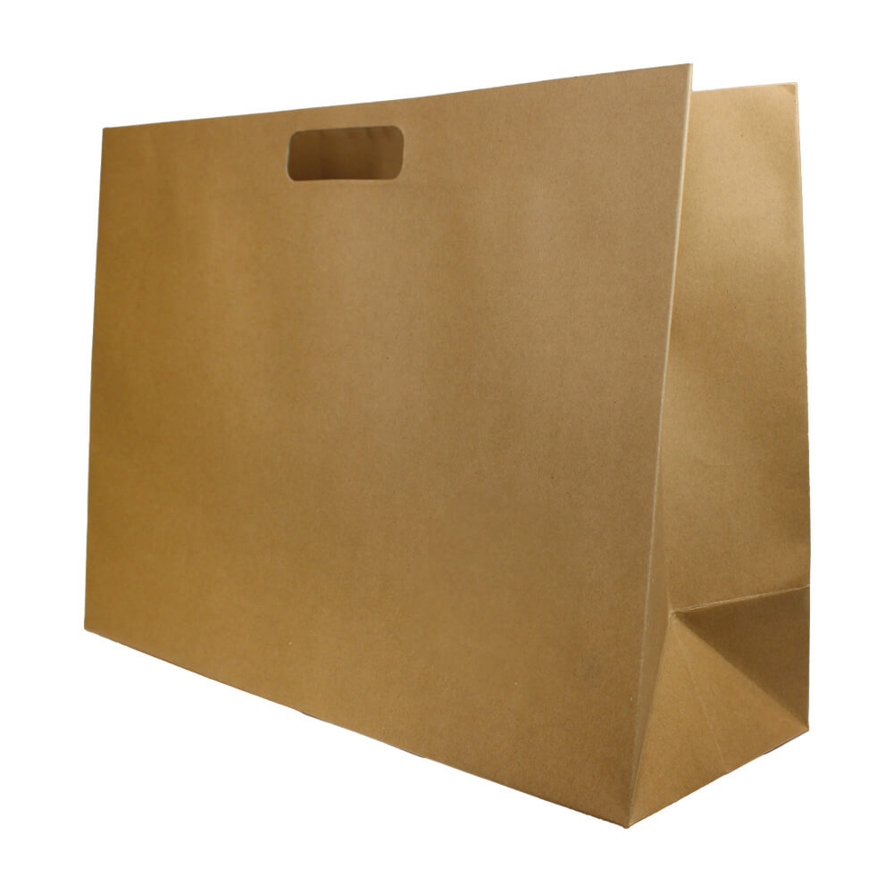 Premium Kraft Bag - Large - 1